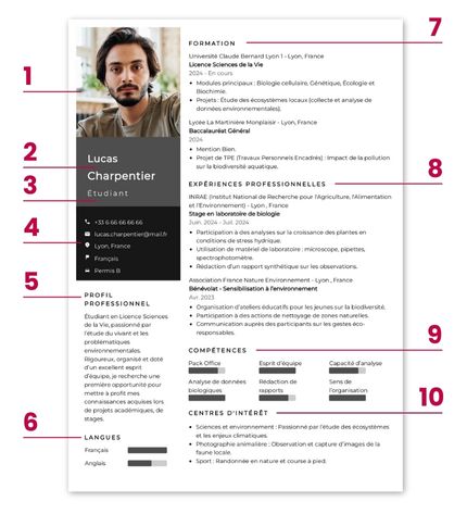rubriques cv sans experience professionnelle