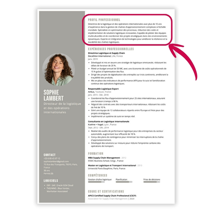 profil-professionnel-pour-cv