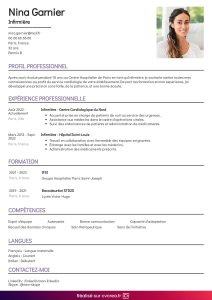 exemple cv simple