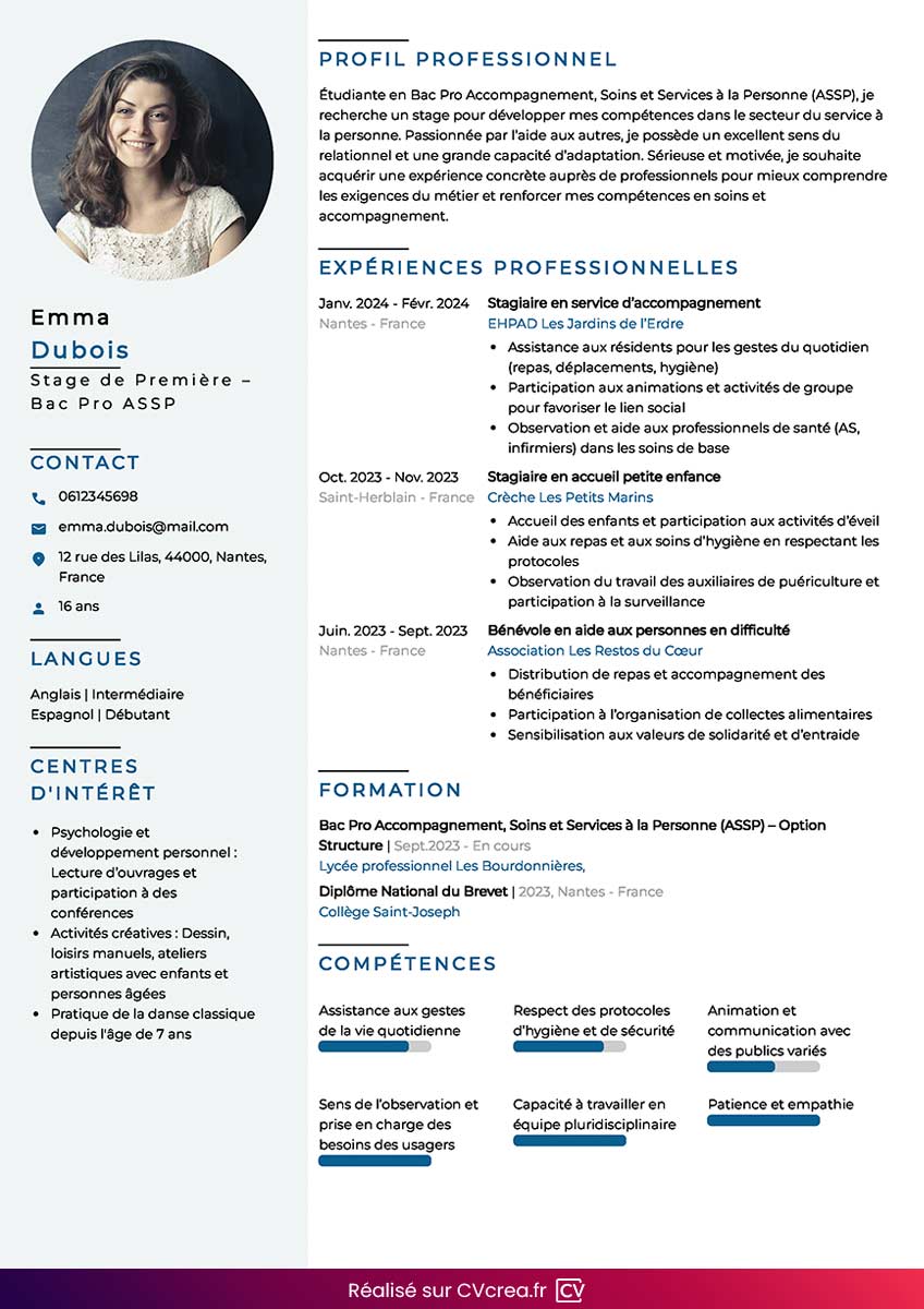 modèle cv simple et efficace