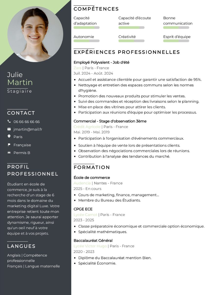 exemple de cv stage étudiant clair et efficace à télécharger