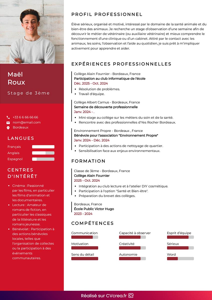 exemple-cv-stage-3eme