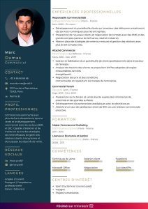 exemple-de-cv-commercial-a-telecharger