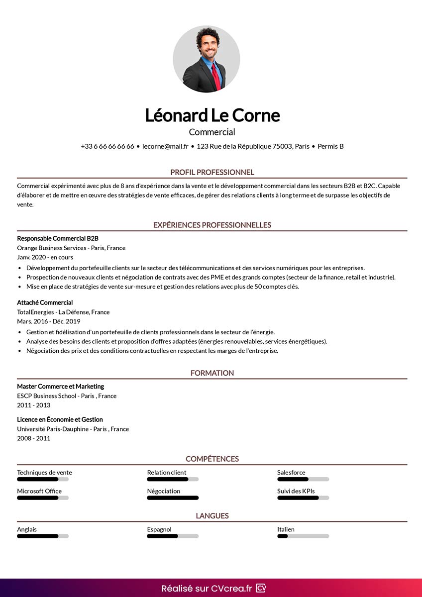 faire-cv-commercial-en-ligne