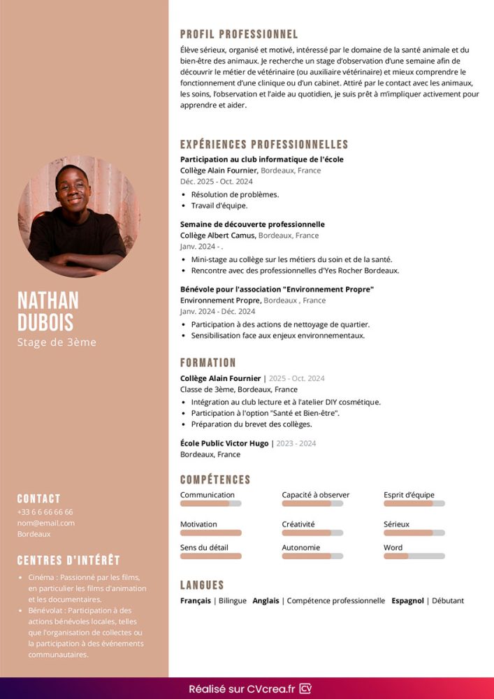 cv-stage-3-me-exemple-2026-pour-coll-gien-et-conseils