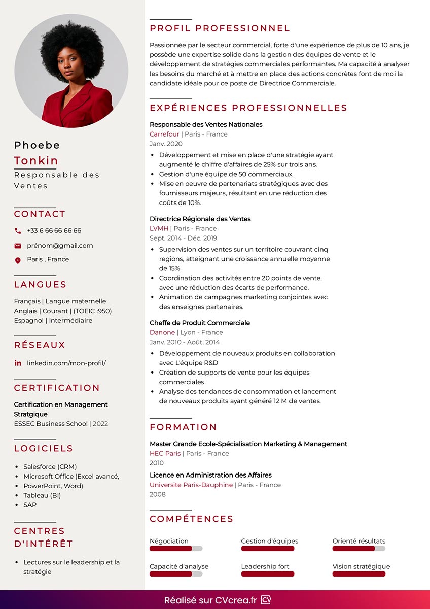 modele-de-cv-pour-cadre-en-ligne