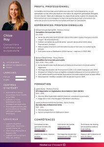cv-vendeuse-debutante-en-ligne