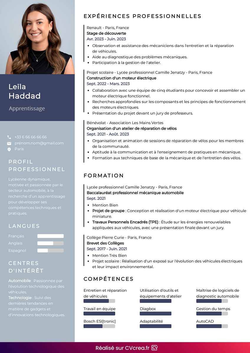exemple-de-cv-apprentissage-en-ligne