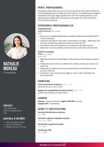 exemple de cv comptabilite en ligne
